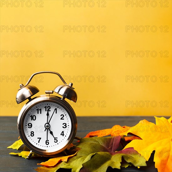 Front view autumn decoration with yellow background