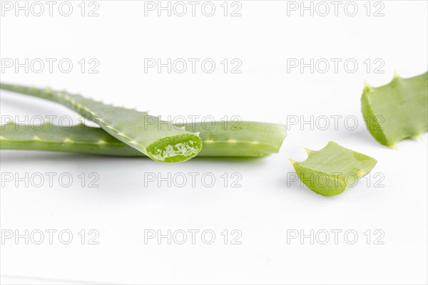 Front view aloe vera concept