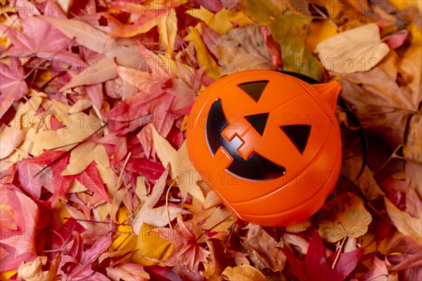 Photo of a Halloween pumpkin on a background of red autumn leaves