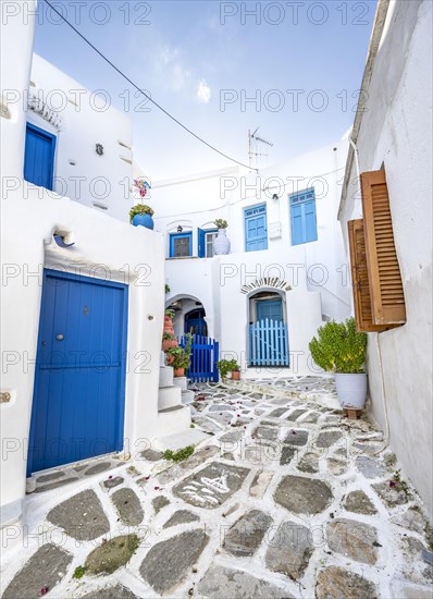 White Cycladic houses with blue doors and windows and flower pots