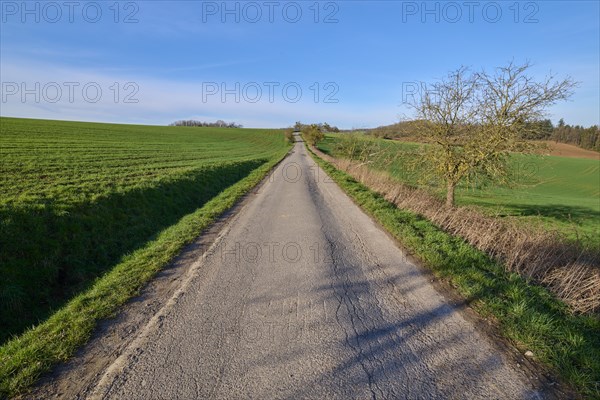 Field path