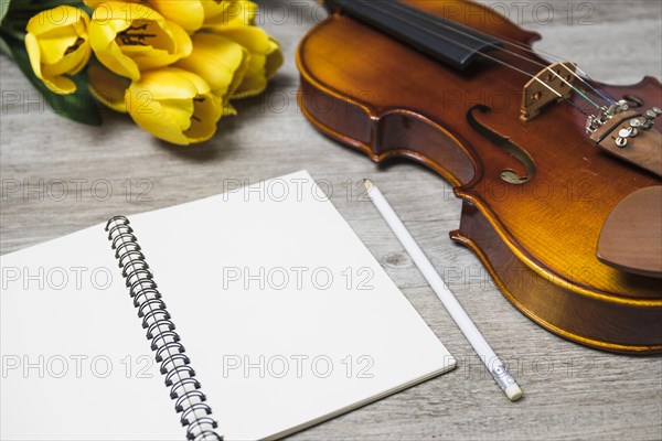 Open blank notebook pencil tulip classical violin plank backdrop