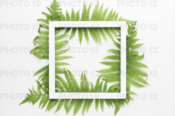 Top view frame with leaves concept
