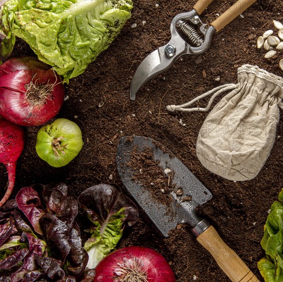 Top view garden tool with veggies