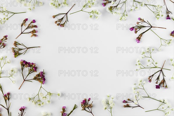 Flat lay flowers collection table