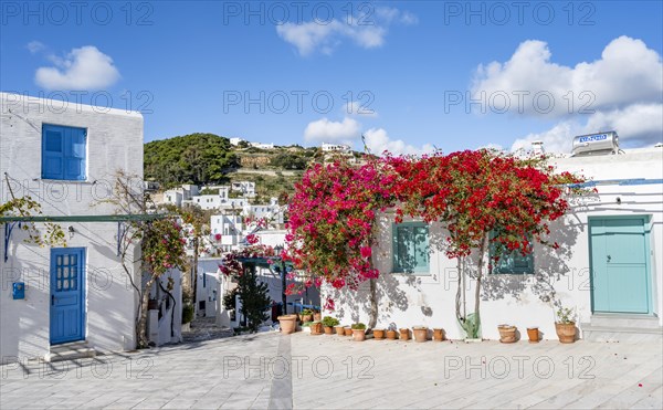 White Cycladic house with turquoise windows and doors