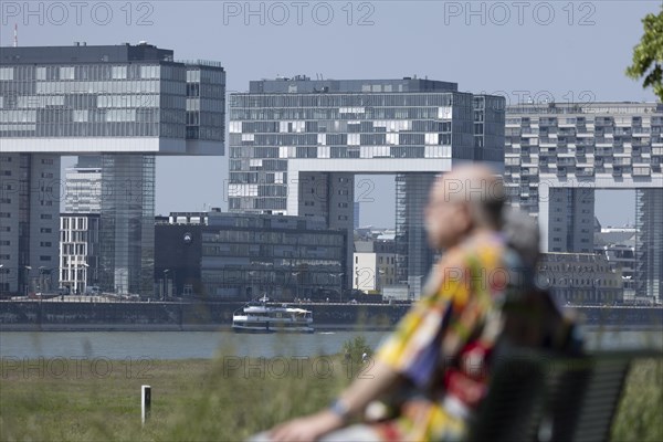 Senior couple sitting on a bench on the banks of the Rhine in front of the crane houses in Cologne's Rheinauhafen harbour on the other bank