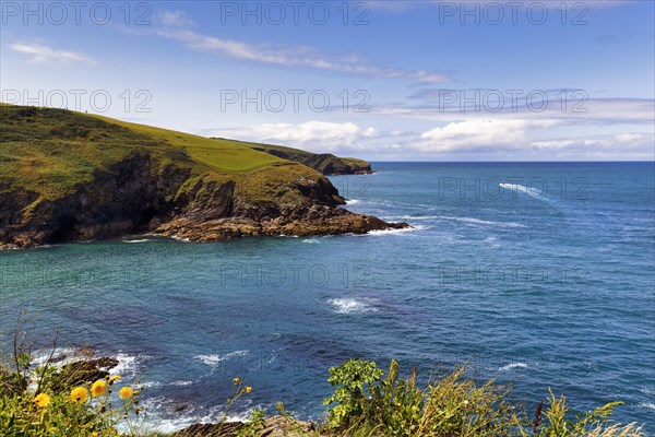 View from the South West Coast Path