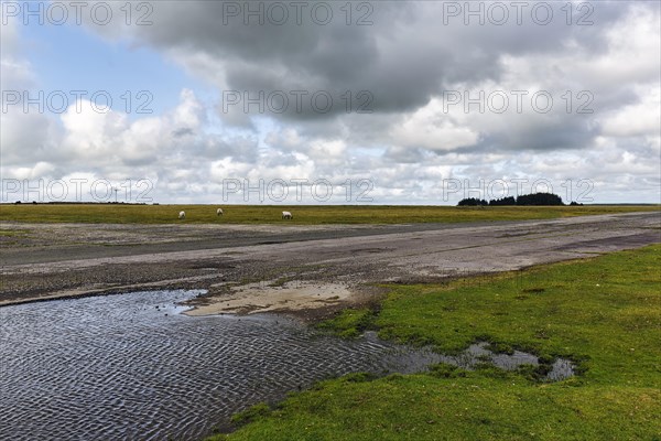 Road leads across high moor