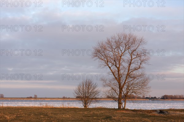 Ice flow on the Weser after the shutdown of the Unterweser nuclear power plant