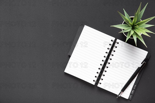 Flat lay notebook plant with copy space