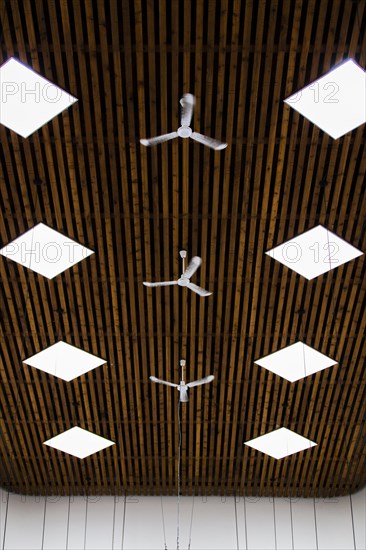 View ceiling with small fans