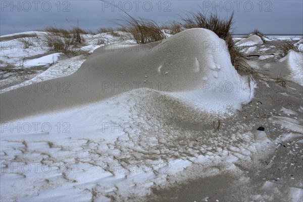 Snow-covered dunes on the island of Minsener Oog