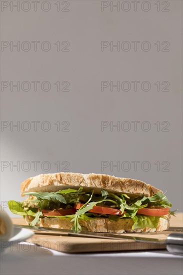 Front view toast sandwich with tomatoes greens copy space