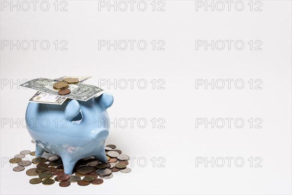 Blue piggy bank with money coins