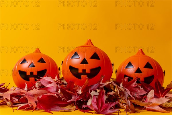 Halloween orange pumpkins on a yellow studio background