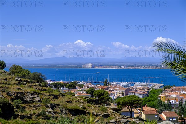 Roses with the Gulf of Roses