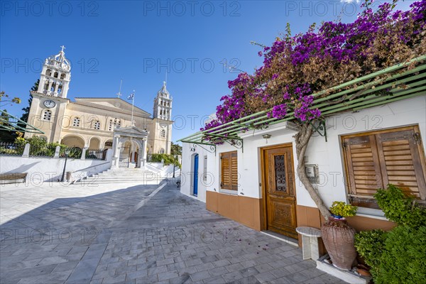 White Cycladic house with purple bougainvillea and Agia Triada church