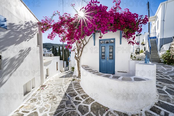 White Cycladic house with blue door and pink bougainvillea