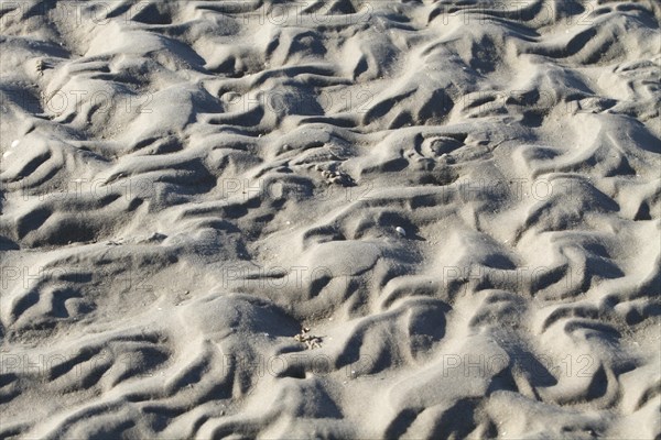 Ripple marks in the mudflats off Minsener Oog Island