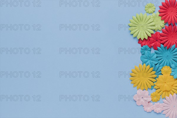 Beautiful colorful flower cutout blue background