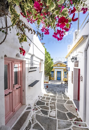 White Cycladic houses with bougainvillea and colourful doors and windows