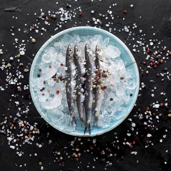 Top view fish plate with ice spices