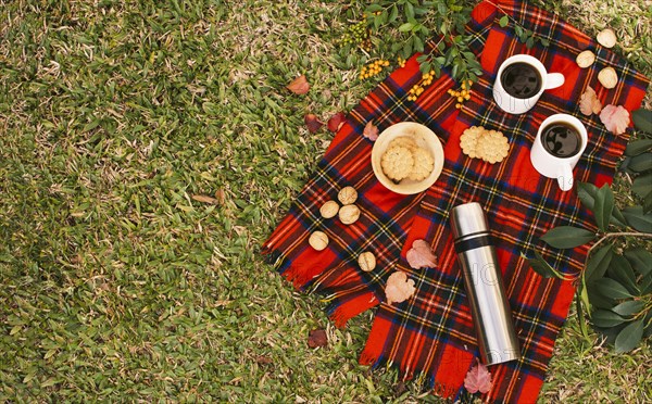 Top view minimalist picnic with copy space