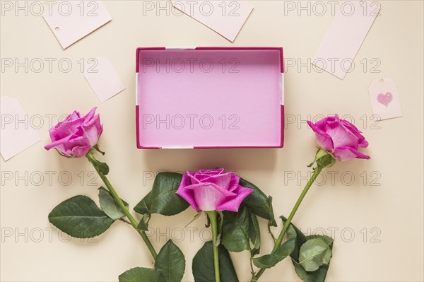 Pink rose flowers with empty box table