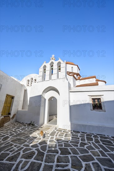 Cat in front of archway with bells of Agios Antonios chapel and Greek Orthodox church Metamorfosi Sotiros