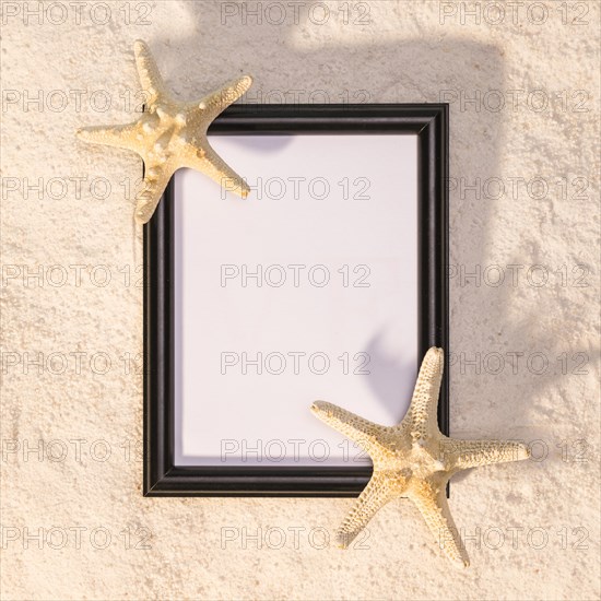 Black vertical frame with sea stars