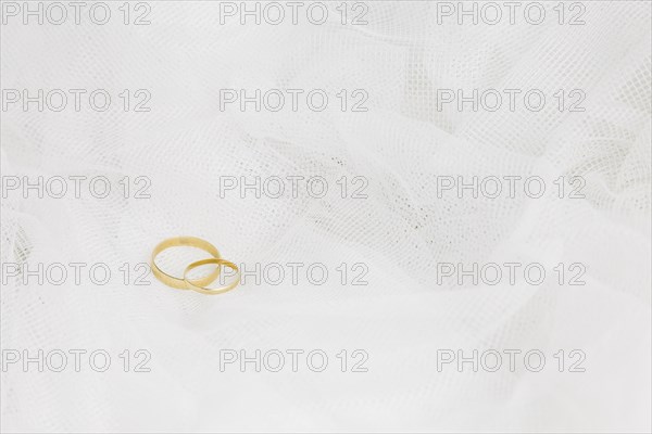 Wedding rings with bridal veil
