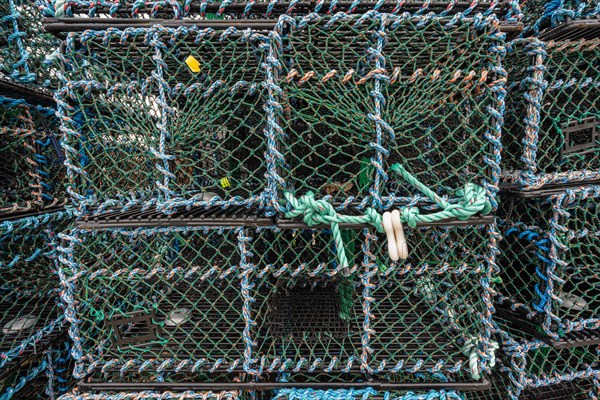 Lobster cages