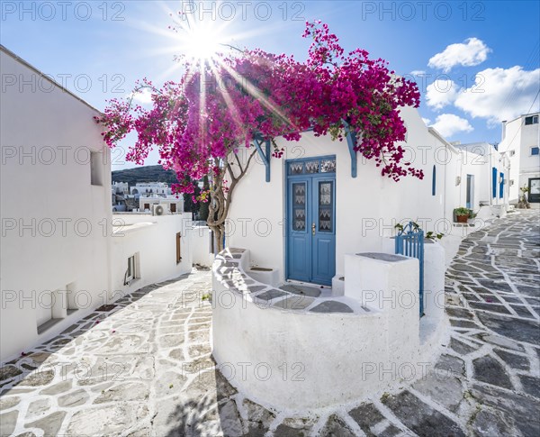 White Cycladic house with blue door and pink bougainvillea