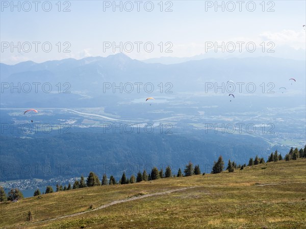 Paraglider