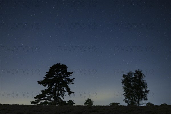 Starry sky in the evening