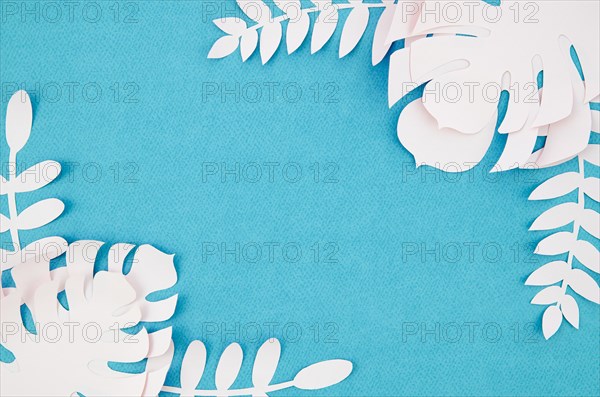 White monstera foliage blue background