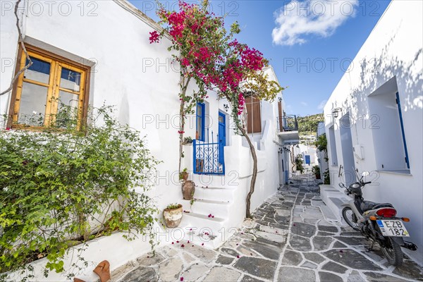 White Cycladic houses with blue doors and windows and flower pots with red bougainvillea