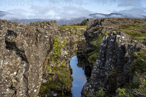 Rift valley