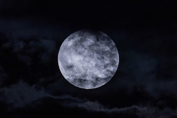 The full moon fights its way through the cloudy sky in the evening in the Rhine-Main area. It is already the second one in August '23 - that doesn't happen often. The so-called Blue Moon or Blue Super Moon is the largest full moon of the year.