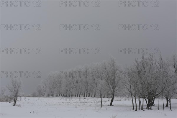 Winter on the Weser