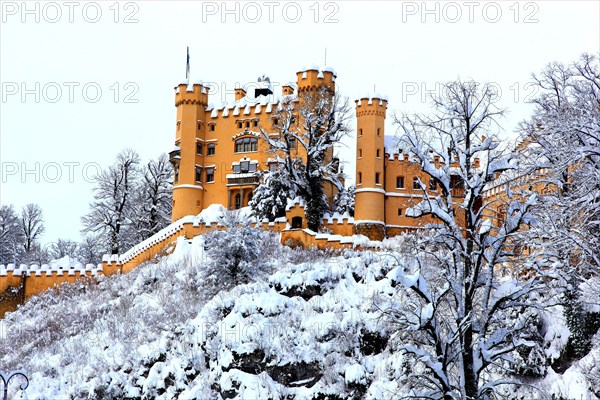 Hohenschwangau Castle in winter