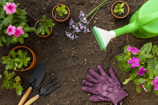 Plants gardening tools close up 2