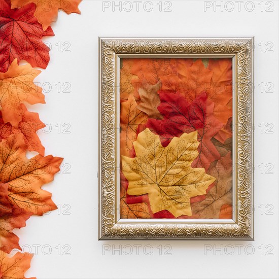 Vintage picture frame with autumn leaves