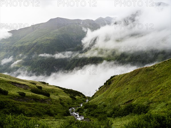 Morning fog drifts over a mountain ridge