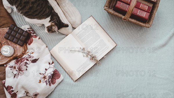 Cat feet near books snacks