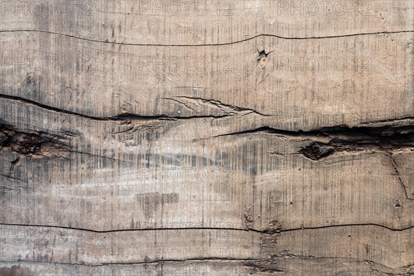 Abstract wooden seamless texture background