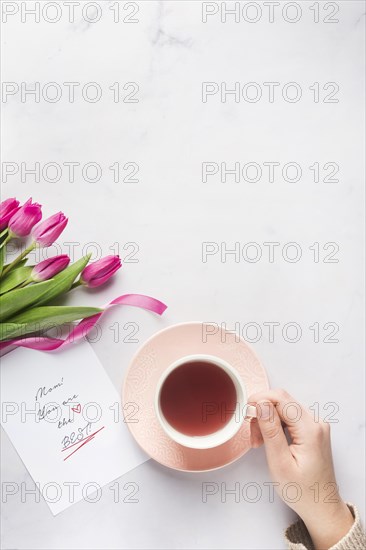 Hand holding tea mug copy space