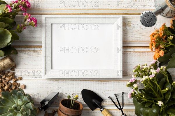 Top view frame flowers