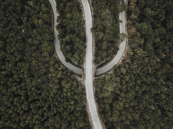 Elevated view road amongst trees